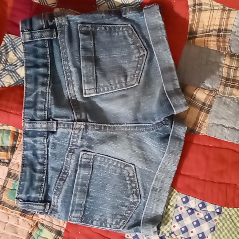 Shorts - Picture 2 of 3